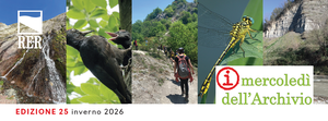 "I mercoledì dell’Archivio”, nuova edizione al via