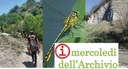 "I mercoledì dell’Archivio", riorganizzata la sezione dedicata a video e documenti scaricabili