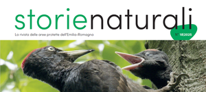 Rete escursionistica, sulla rivista "Storie Naturali" un articolo dedicato all'Alta Via dei Parchi