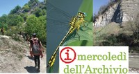 "I mercoledì dell’Archivio", riorganizzata la sezione dedicata a video e documenti scaricabili