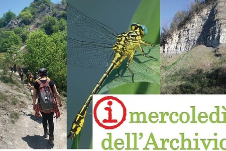 "I mercoledì dell’Archivio", riorganizzata la sezione dedicata a video e documenti scaricabili