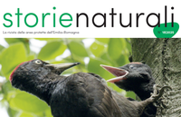 Rete escursionistica, sulla rivista "Storie Naturali" un articolo dedicato all'Alta Via dei Parchi