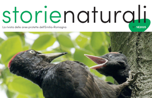 Rete escursionistica, sulla rivista "Storie Naturali" un articolo dedicato all'Alta Via dei Parchi