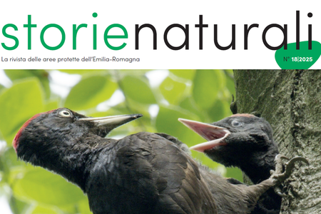 Rete escursionistica, sulla rivista "Storie Naturali" un articolo dedicato all'Alta Via dei Parchi